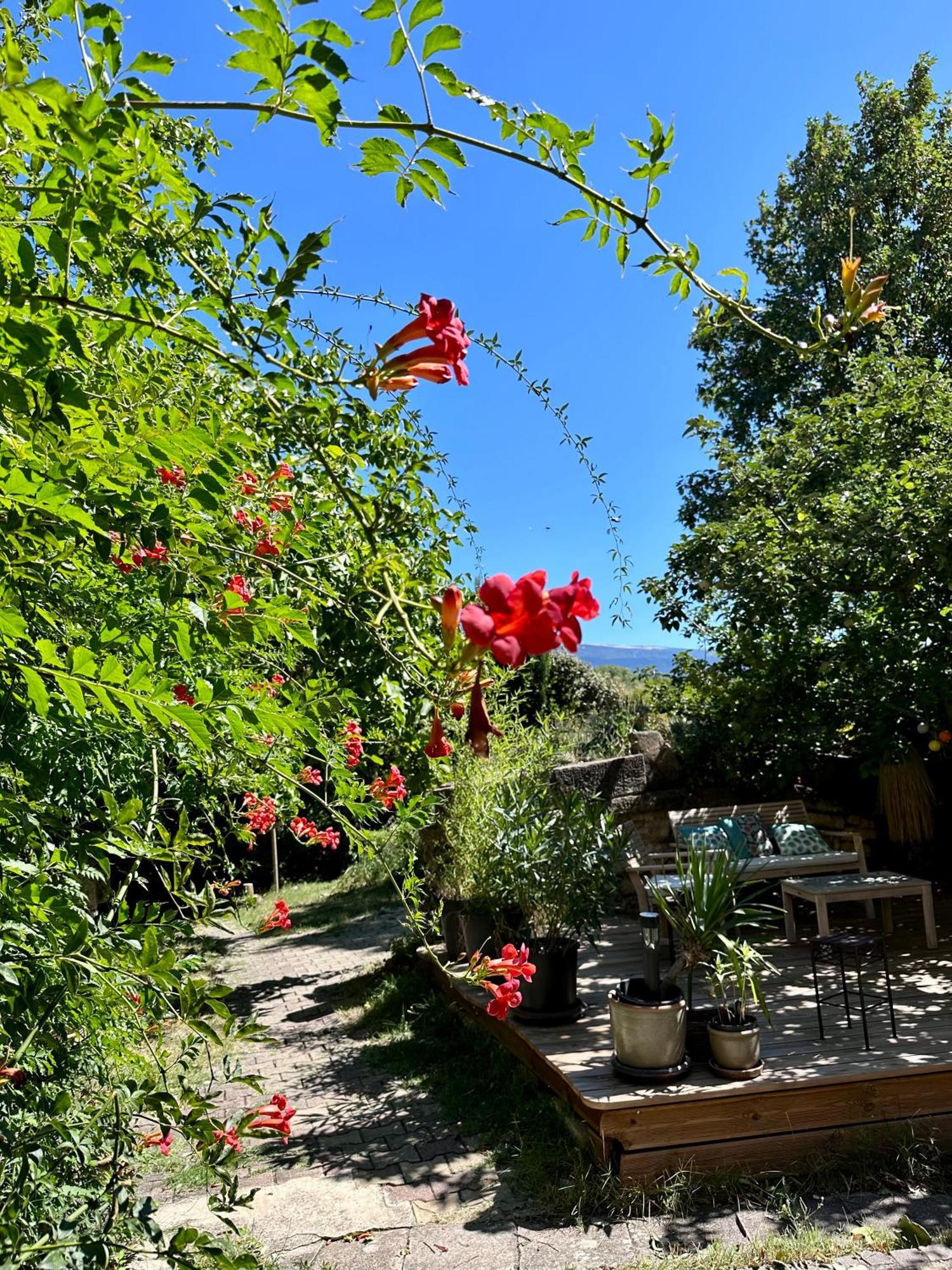 Moulin D'Antelon B&B Crillon-le-Brave Luaran gambar
